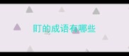 盯的成语有哪些