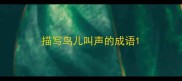 描写鸟儿叫声的成语