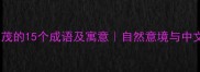 树木繁茂的15个成语及寓意自然意境与中文智慧