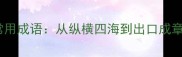 高效掌握500个常用成语从纵横四海到出口成章的实用学习指南