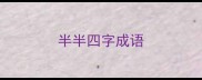 半半四字成语