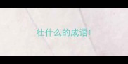 壮什么的成语