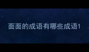 面面的成语有哪些成语
