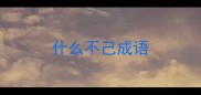 什么不己成语