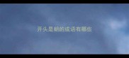 开头是朝的成语有哪些