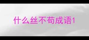 什么丝不苟成语