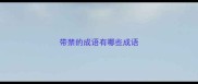 带禁的成语有哪些成语