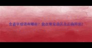 含盗字成语有哪些盘点常见误区及正确用法