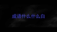 成语什么什么白