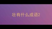 壮有什么成语