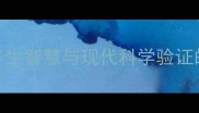 返老还童中医养生智慧与现代科学验证的延缓衰老全攻略