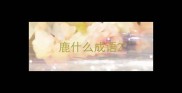 鹿什么成语