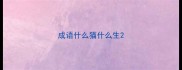 成语什么猫什么生