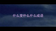 什么变什么什么成语