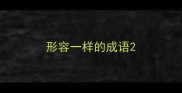 形容一样的成语