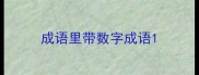 成语里带数字成语