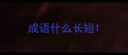 成语什么长短