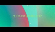 关于队的成语有哪些成语