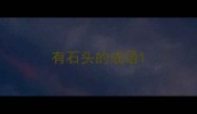 有石头的成语