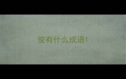 俊有什么成语