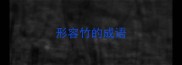 形容竹的成语