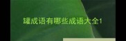 罐成语有哪些成语大全