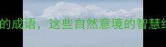 盘点20个有花有雾的成语这些自然意境的智慧结晶你了解几个