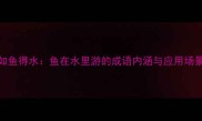 如鱼得水鱼在水里游的成语内涵与应用场景