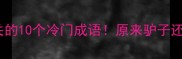 趣味盘点与驴相关的10个冷门成语原来驴子还能这样玩成语梗