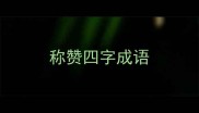 称赞四字成语