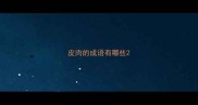 皮肉的成语有哪些