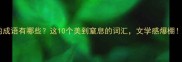湿润的成语有哪些这10个美到窒息的词汇文学感爆棚