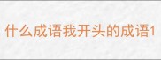 什么成语我开头的成语