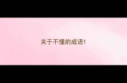 关于不懂的成语