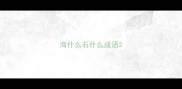 海什么石什么成语