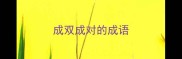 成双成对的成语