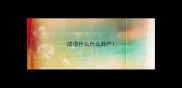 成语什么什么辞严