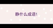 静什么成语