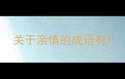 关于亲情的成语有