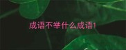 成语不举什么成语