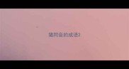 猪同音的成语