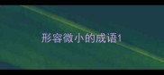形容微小的成语