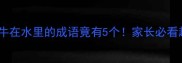 冷知识牛在水里的成语竟有5个家长必看趣味科普