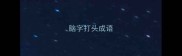 脑字打头成语