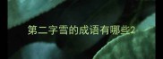 第二字雪的成语有哪些