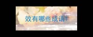 效有哪些成语