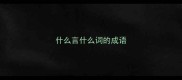 什么言什么词的成语