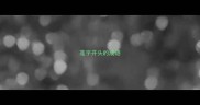 莲字开头的成语