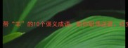 必学带羊的10个褒义成语助你职场逆袭社交开挂