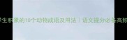 适合学生积累的10个动物成语及用法语文提分必备高频考点